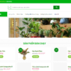 Website doanh nghiệp bán cây xanh MS3